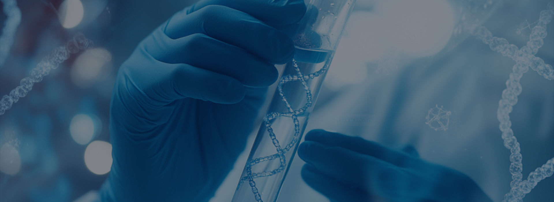 Biomedical Industry