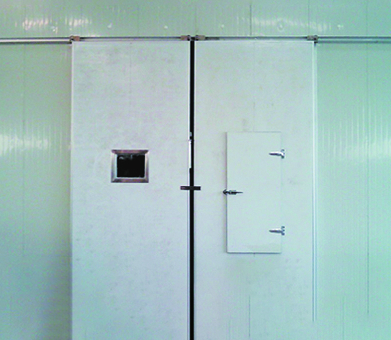 AD-06 Heavy Double Electric Sliding Door